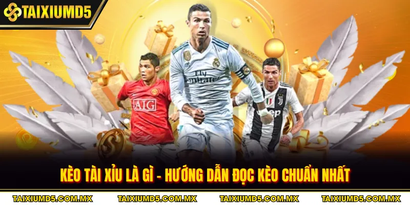 Kèo Tài Xỉu Là Gì - Hướng Dẫn Đọc Kèo Chuẩn Nhất